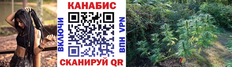 Как найти закладки Кимры blacksprut ссылки COCAIN Мефедрон Галлюциногенные грибы Бутират Конопля СК