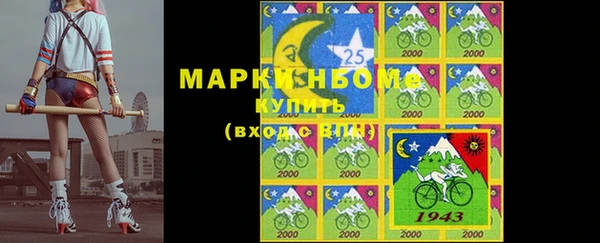 хмурый Богородск