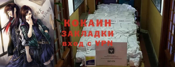 шишки Белоозёрский