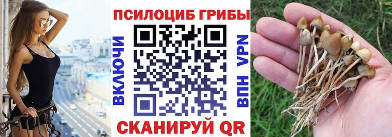 blacksprut зеркало  Кимры  Галлюциногенные грибы мухоморы  купить наркоту 